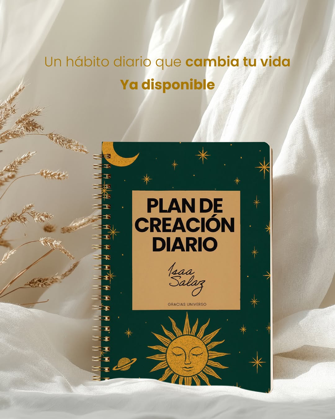 Plan de Creación Diario (Digital)